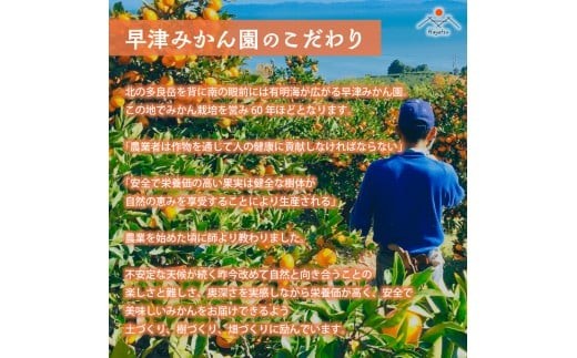 早津みかん園のスイートスプリング 3kg 
