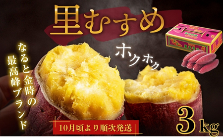 【 予約受付中・2025年9月下旬～10月頃より順次発送 】なると金時 里むすめ 3kg