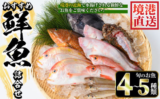 ＜土日祝着＞＜7～8月・年末年始配送不可＞おすすめ鮮魚詰め合わせ(4～5種類)【sm-AA003-B】【いたくら】