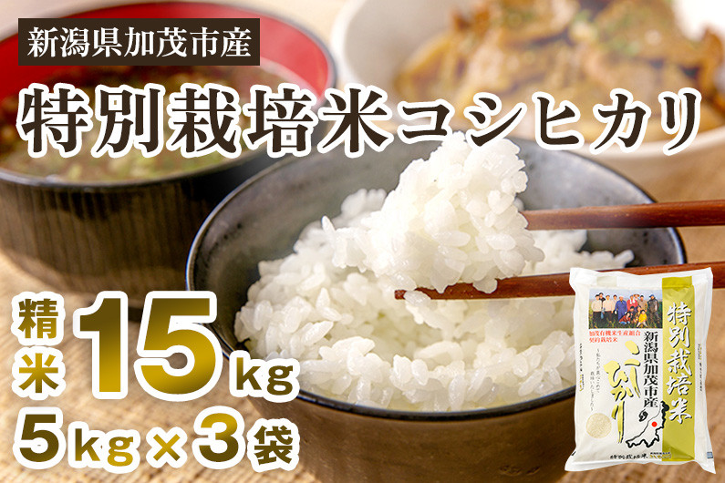 
                  【令和7年産】新潟県加茂市産 特別栽培米コシヒカリ 精米15kg（5kg×3） 《順次出荷》 白米 従来品種コシヒカリ 加茂有機米生産組合
                