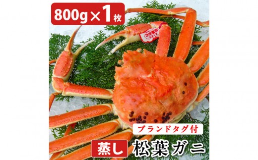 タグ付き 蒸し松葉蟹×1枚（800g前後）【鳥取県 境港市】