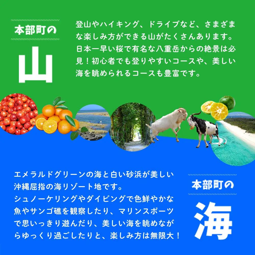 HISふるさと納税クーポン（沖縄県本部町）30万円分 観光 