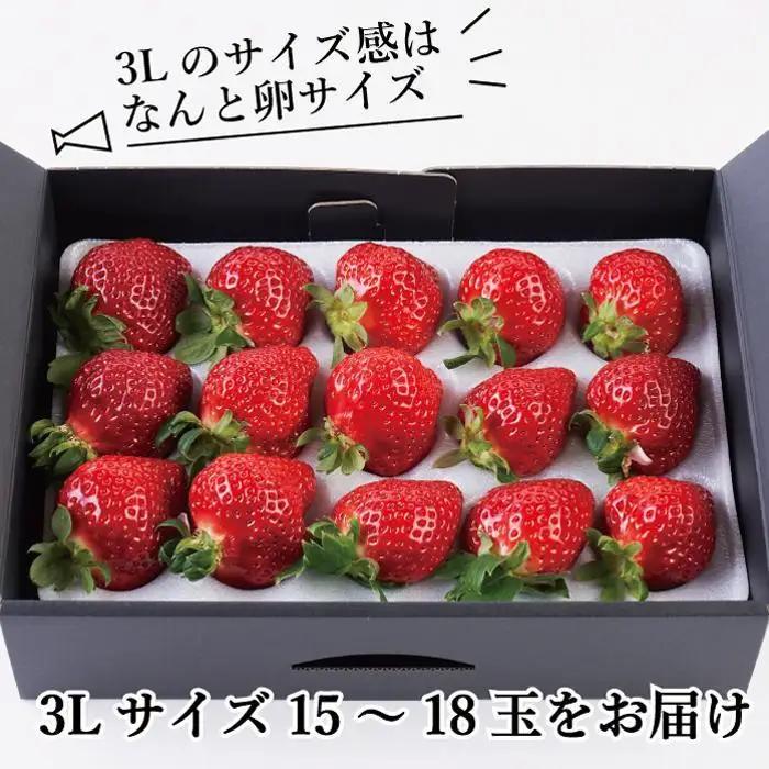 【2027年発送】完熟 あまおう 3Lサイズ 450g | あまおう 産直
