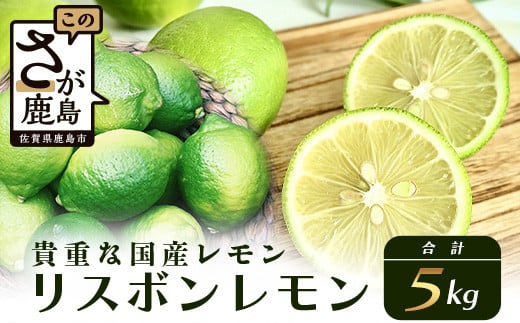 B-367 リスボンレモン【約5kg】メディアも注目の柑橘類の名人直送！レモン れもん 檸檬 果物 生搾り 料理 菓子 サワー お酒 国産 果物 フルーツ 佐賀県鹿島市産 人気