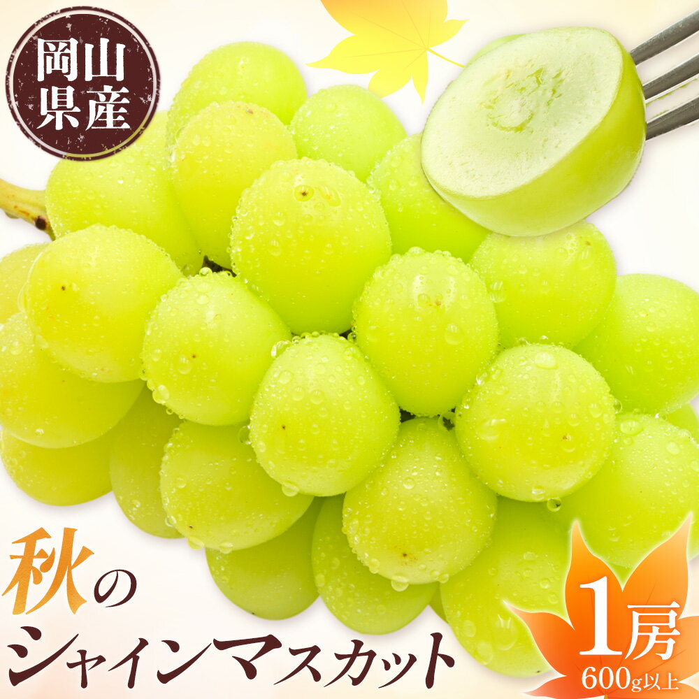 【ふるさと納税】岡山県産 秋 の シャインマスカット 1房(600g以上) 環山堂株式会社《9月上旬-10月上旬頃出荷》岡山県 浅口市 ぶどう ブドウ 葡萄 果物 フルーツ 送料無料