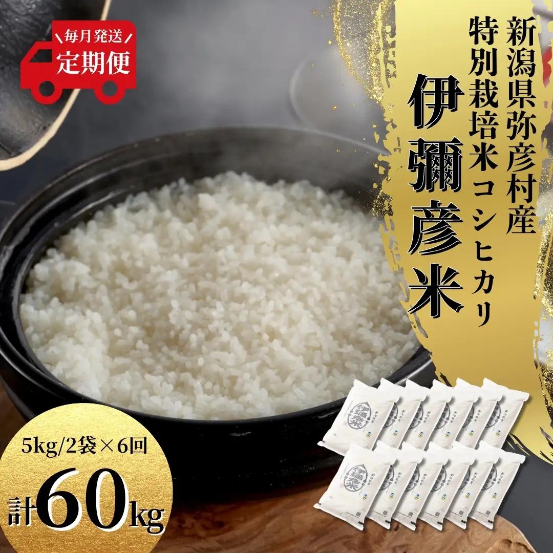 コシヒカリ 令和8年産 新米 先行予約 毎月 定期便 伊彌彦米 10kg(5キロ×2袋) 全6回 | コシヒカリ 特別栽培 新潟県