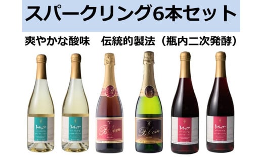 十勝ワイン スパークリング6本セット（4種類）  ブルーム トカップ 北海道ワイン 北海道池田町 食前酒 お祝い パーティー