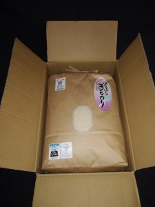 令和7年産 大津産コシヒカリ「はなふじ」 精米 5kg 米 [AZ001]