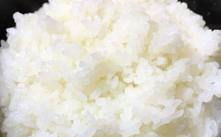  新潟県 有機JAS認証 コシヒカリ 10kg（5kg×2袋）数量限定 三条市産 精米 令和7年 2025年 コシヒカリ【031S010】