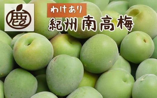 
            ＜6月発送＞ 家庭用 紀州南高梅(青梅)10kg+250g（傷み補償分）【朝摘み・とれたて直送便】【梅干し・梅酒・梅ジュース】【和歌山産】
          