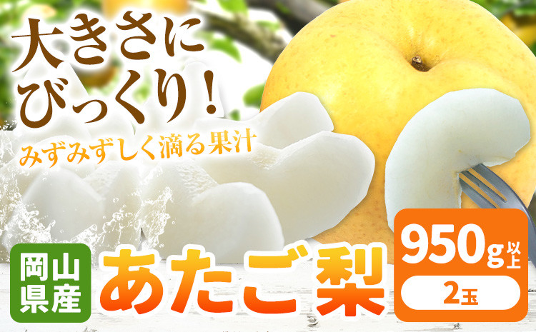 
            259. 【先行予約】岡山県産 あたご梨 大玉2玉（950g以上）【配送不可地域あり】 《2025年11月下旬-12月末頃に出荷予定(土日祝除く)》 岡山県 矢掛町 なし 梨 果物
          