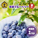 【ふるさと納税】 訳あり 冷凍 ブルーベリー 1kg ( サイズMIX ) 旬 県産 ブルーベリー 国産ブルーベリー 小分け お中元 お歳暮 お取り寄せ 母の日 父の日 グルメ ギフト 故郷 秋田 あきた 鹿角市 鹿角 送料無料 【としま農園】