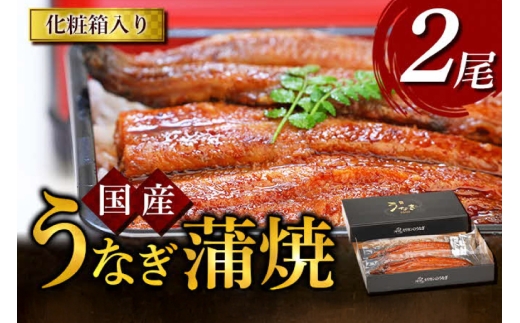 うなぎ 国産 うなぎ蒲焼き 2尾 [モリカン 徳島県 北島町 29bh0001] ウナギ 鰻 unagi うなぎ蒲焼 真空パック 真空 パック 冷蔵