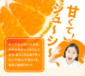 S086-004A_井手尾さん家の小さい不知火 約7kg 　家庭用〈先行予約〉
