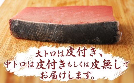 長崎県産 本マグロ3種盛り「大トロ・中トロ・赤身」約3kg【大村湾漁業協同組合】