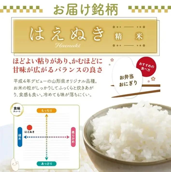 SF0379　10月下旬配送／【6回定期便】令和8年産 ［精米］はえぬき　5kg×6回(計30kg) 農家直送 HO