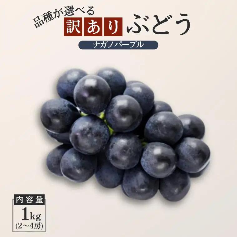 ぶどう ナガノパープル【家庭用】 約1kg ／2026年8月中旬～10月頃配送予定［TK18］//長野県 南信州 松川町産 種なし 皮ごと 南信州 長野県 オリジナル品種 稀少 高糖度 高品質 人気 贈答 ギフト