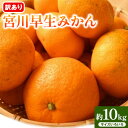 【ふるさと納税】宮川早生みかん訳あり 約10kg (サイズいろいろ) うえやまファーム《2024年11月下旬-1月上旬頃出荷》 和歌山県 日高川町 旬 新鮮 果物 柑橘 フルーツ 国産 送料無料 ミカン みかん