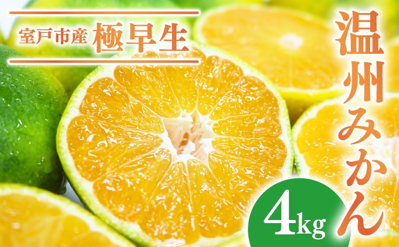 
                  【先行予約】極早生 温州みかん 4kg 数量限定 高知県 室戸市産 みかん ミカン 柑橘 フルーツ 果物 産地直送 農家直送 おすすめ 人気 果実 うんしゅう ジュース ゼリー デザート
                