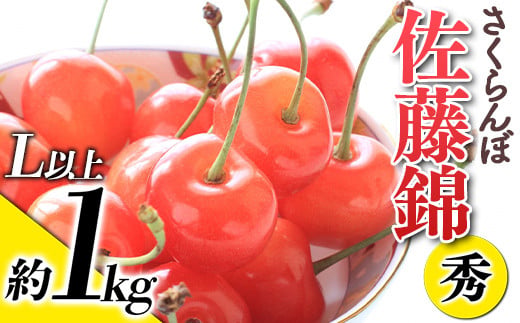 【令和7年産先行予約】 さくらんぼ 「佐藤錦」 約1kg (秀 L以上) バラ詰め 《令和7年6月上旬～発送》 『生産者おまかせ』 サクランボ 果物 フルーツ 産地直送 山形県 南陽市 [881]