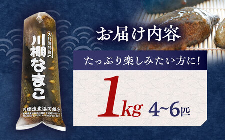 【先行受付】【数量限定】川棚 生 なまこ 約1kg ※2024年12月中旬以降発送【森水産】[OAI001] / 大村湾なまこ 高級なまこ 新鮮なまこ ナマコ おつまみ 海鮮 魚介 新鮮魚介類 正月 