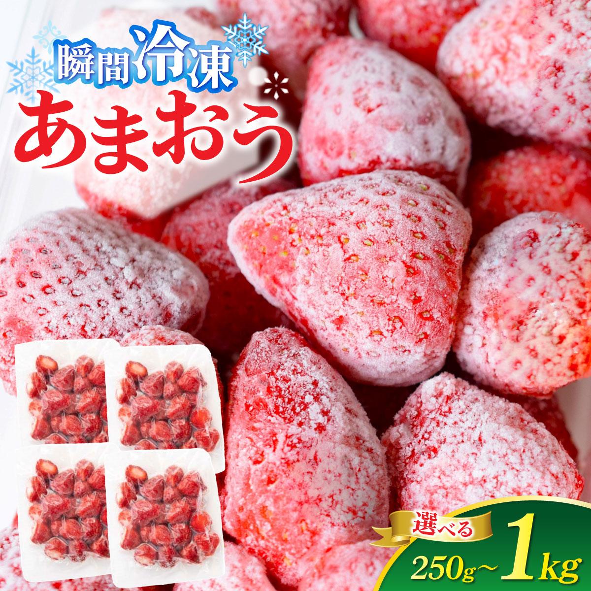 【ふるさと納税】 ＜選べる容量＞福岡県産 冷凍あまおう250g～1kg