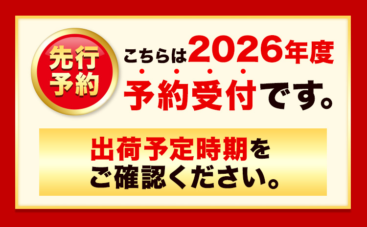 極甘とうもろこし ピーターコーン 20本 特大サイズ(1本380g以上) 高橋賢三【先行予約】《2025年8月上旬-9月中旬頃出荷》 送料無料 北海道 本別町 北海道 十勝 本別町産 極甘 特大 とう