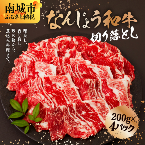 なんじょう和牛切り落とし 200g×4パック【TM0302】