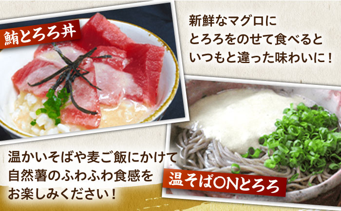 【全3回定期便】【那珂川市産自然薯使用】自然薯麦とろセット（4人前）＜自然薯王国＞那珂川市 [GAH009]