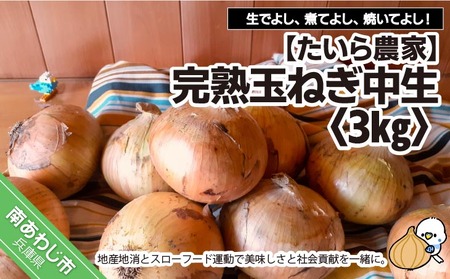 完熟玉ねぎ　中生3ｋｇ　◆配送6月上旬～