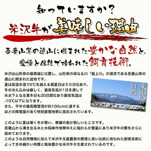 らくらく惣菜セット4種 ハンバーグ コロッケ メンチカツ 肉団子 冷凍