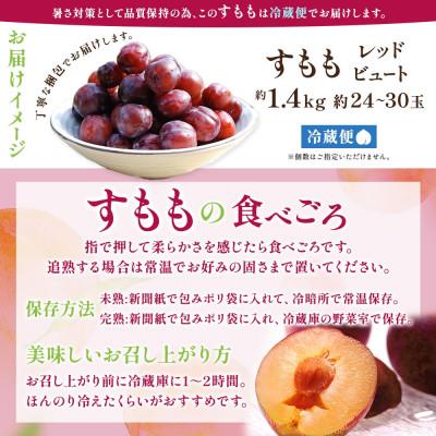 ふるさと納税 笛吹市 【2026年先行予約】農園直送!すもも「レッドビュート」6P 約1.4kg 村松農園 山梨県笛吹市 |  | 02