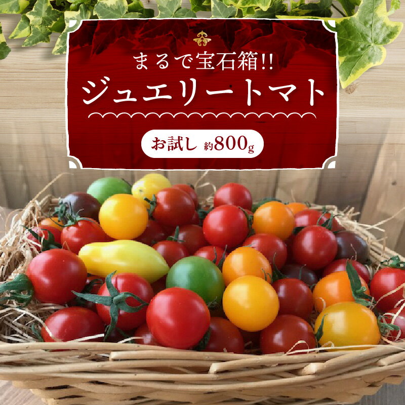 【ふるさと納税】ジュエリートマト 約 800g お試し 長田農園 フルーツ ミニトマト トマト カラフル 色とりどり 野菜 宝石箱 新食感 甘い 濃厚 完全木熟 塩農法 ハウス栽培 美容 健康 リコピン お取り寄せ 食品 産地直送 愛知県 碧南市 送料無料