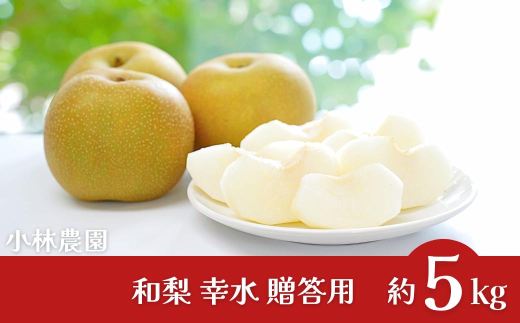 
                  和梨 幸水 約5kg 2026年産 令和8年度産 幸水 新潟県 こうすい 三条市産梨 幸水梨  [小林農園]【012P044】
                