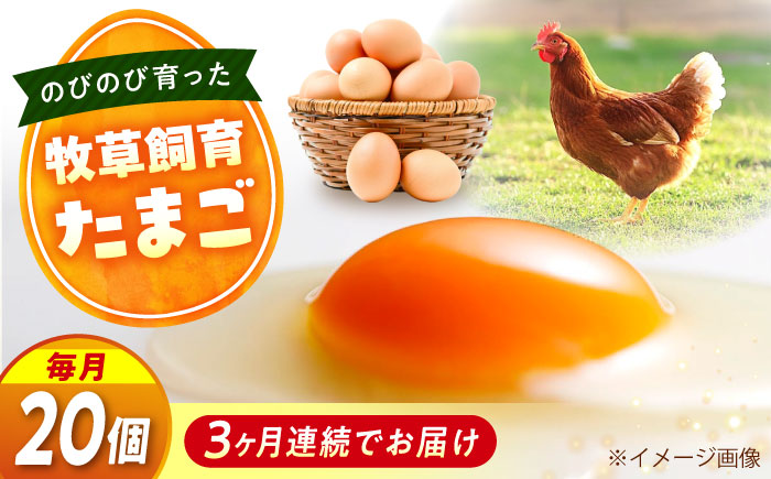 【全3回定期便】天心山 たまご20個（10個入り×2パック） 卵 たまご 高級 食品 たまごかけご飯 卵かけご飯 卵焼き 生卵 濃厚 ケーキ お菓子 づくり ランキング 上位 人気 おすすめ 定期便　広島県福山市/天心山ファーム [BABW018]