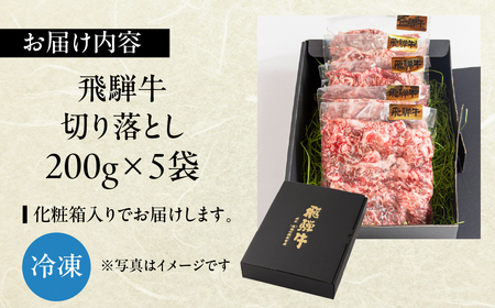 飛騨牛 切り落とし 200g×5袋 　計1kg【22-47】