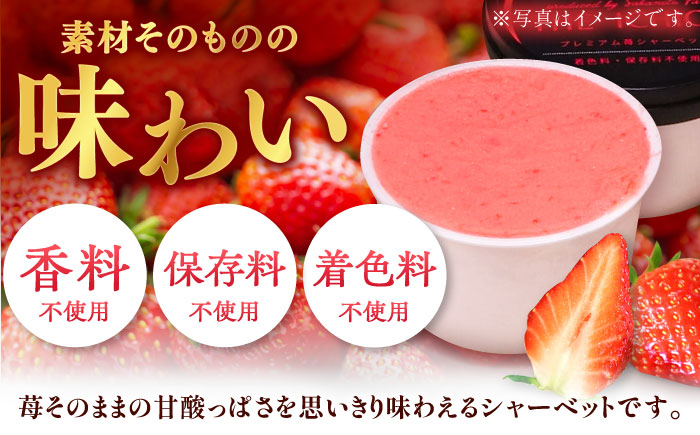【先行予約】苺そのままの甘酸っぱさ！THE ICHIGO  プレミアム苺シャーベット 計8個 / いちご イチゴ アイス デザート / 佐賀県 / さかもとさんの畑[41ABAA019]