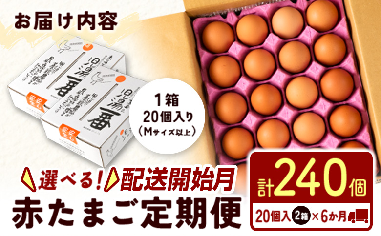 ＜配送開始月が選べる!!＞児湯養鶏自慢の卵 ネッカリッチ赤たまご「児湯一番」 計240個 （20個入×2箱）×6か月定期便 生活応援 ※2026年7月配送開始【D15-2607】 2026年7月配送開