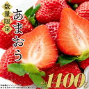 【ふるさと納税】 福岡県産 あまおう 数量限定 合計約1400g 約280g×5p数量限定 1kg以上 あまおう いちご フルーツ 果物 旬 イチゴ 苺 福岡県産 送料無料 2S1