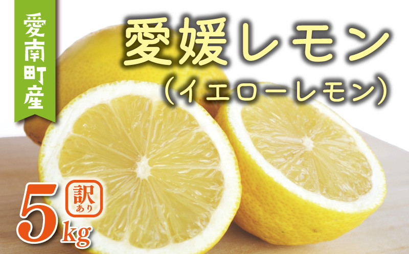 
                  訳あり 愛媛 レモン （ イエローレモン ） 5kg 5000円 柑橘 サイズ 不揃い 家庭用 檸檬 国産 フルーツ 果物 果実 産地直送 農家直送 数量限定 期間限定 特産品 瀬戸内 ワックス 防腐剤 不使用 果汁 人気 新鮮 レモネード 塩レモン レモン酢 レモンソース はちみつレモン レモンケーキ レモンスカッシュ レモンサワー レモン酎ハイ ビタミン 規格外 愛南町 愛媛県 果樹園みどり
                