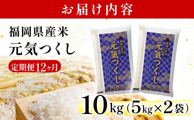 【12ヶ月定期便】福岡県産米 元気つくし 10kg 令和7年産 ※北海道・沖縄・離島は配送不可【精米 7年産 国産 福岡県産 お米 ブランド米 10kg げんきつくし】CY012sub12