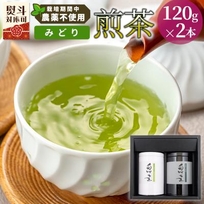 ふるさと納税 東白川村 栽培期間中 農薬不使用! 煎茶 ギフト NO.16 (みどり120g×2本) 常磐園 日本茶