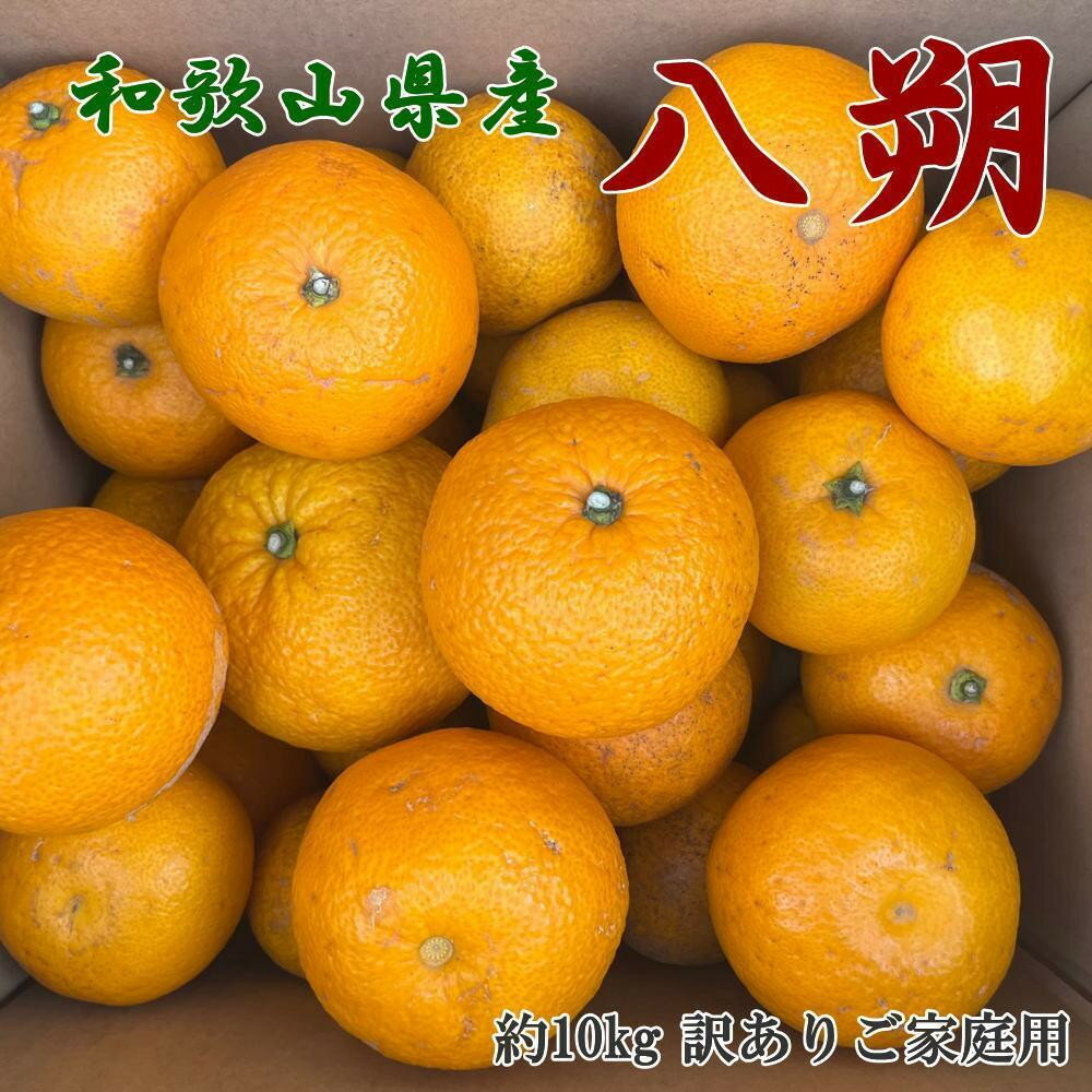 【ふるさと納税】［手選果 訳あり］和歌山 由良町産 八朔 約10kg サイズ混合 ご家庭用 ［TM205］ | フルーツ 果物 くだもの 食品 人気 おすすめ 送料無料 産地直送