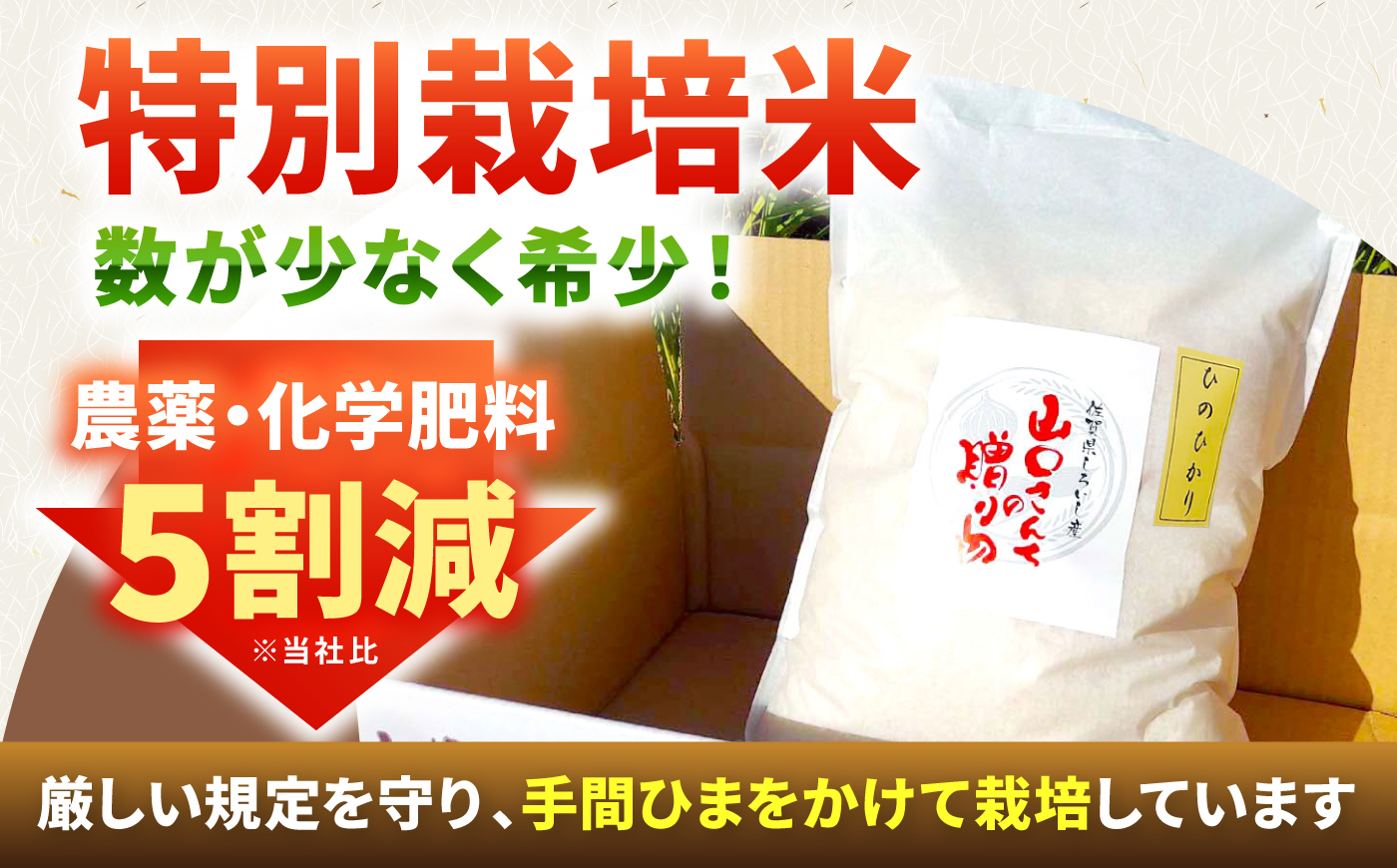 【先行予約 2026年10月～発送】令和8年産 新米  特別栽培米 ひのひかり 10kg 白米 山口さんちの贈り物【y'scompany】お米 [IAS009]