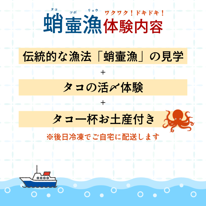 各日1組限定！貸切！蛸壷漁体験！（お土産付き）1名～5名 たこ タコ 伝統 山立て 漁法 夏休み 思い出 学習 宿題 旅行 家族 レジャー 利用券 トラベル 広島県 三原市  031009