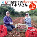 【ふるさと納税】＜選べる配送月＞ じゃがいも 1箱 約 5kg 乳酸菌で育てた 赤いジャガイモ とれたて ポテト 芋 食品 野菜 サラダ カレー コロッケ 煮物 煮崩れしにくい 新鮮 てれやさん 産地直送 鹿児島 沖永良部 奥山農園 知名町 おすすめ ランキング プレゼント ギフト