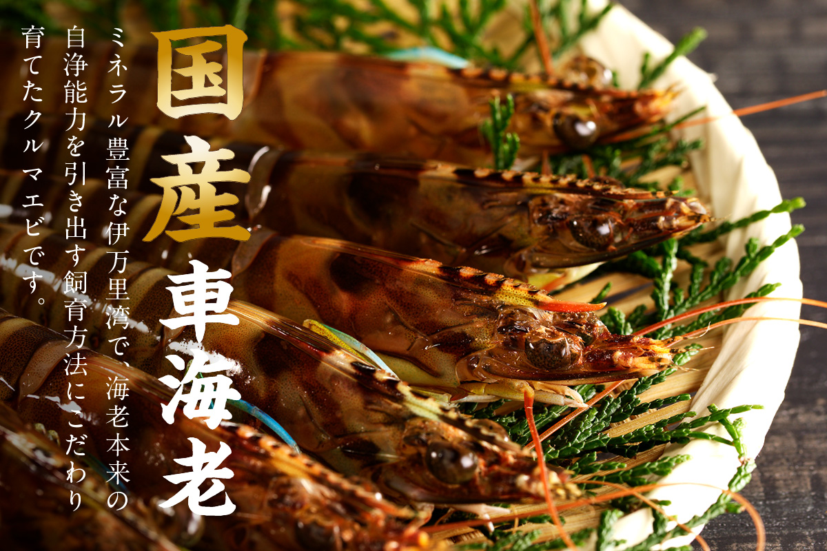 活車海老 1kg 指定日可能【数量限定 先行予約】（12月1日から配送開始） 010-C180