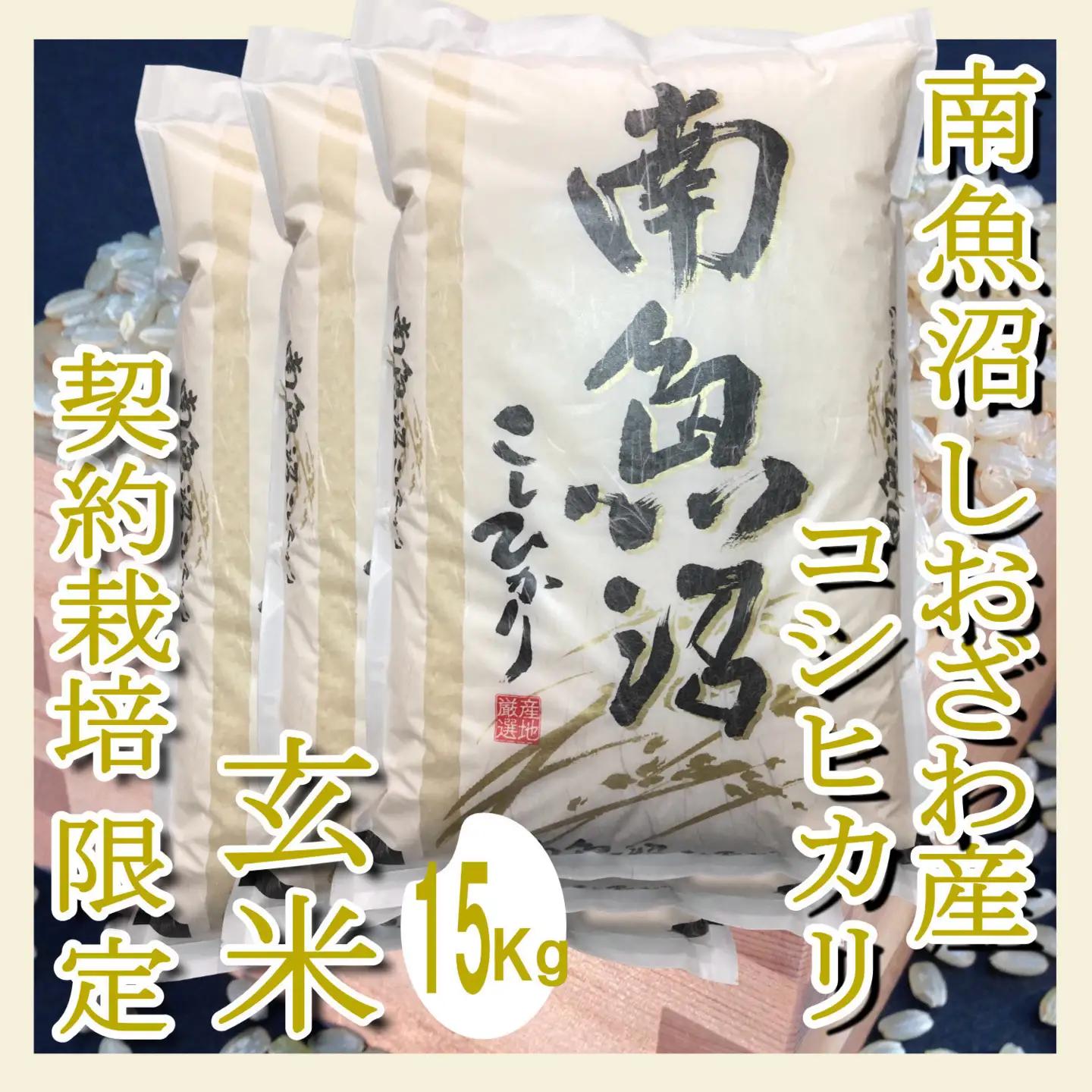 【令和7年】【玄米１５Kg】●玄米● 生産者限定 南魚沼しおざわ産コシヒカリ｜玄米