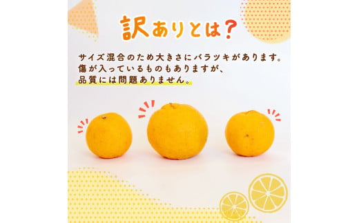 【先行予約】 【早期受付】 ぽんかん 5kg 訳あり 2027年2月より順次発送 国産 家庭用 13500円 わけあり 早期 受付 柑橘 みかん ポンカン 蜜柑 果物 くだもの フルーツ 濃厚 甘い 