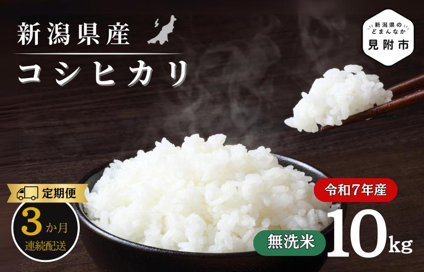 
                  【3か月定期便】R7年産 新潟県産 コシヒカリ 10kg （無洗米））新潟のど真ん中 見附市 こしひかり
                